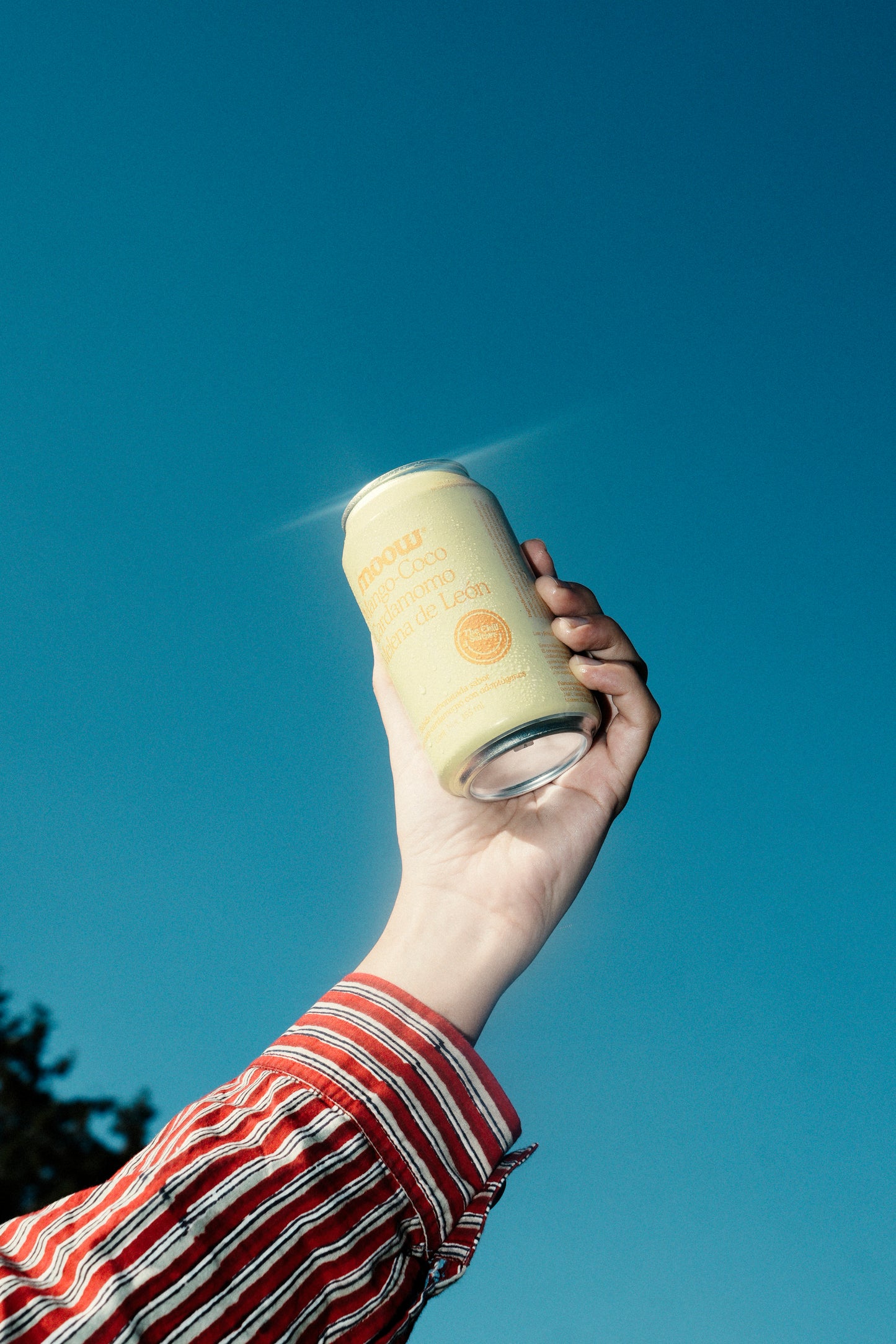 Moow mango-coco + melena de león