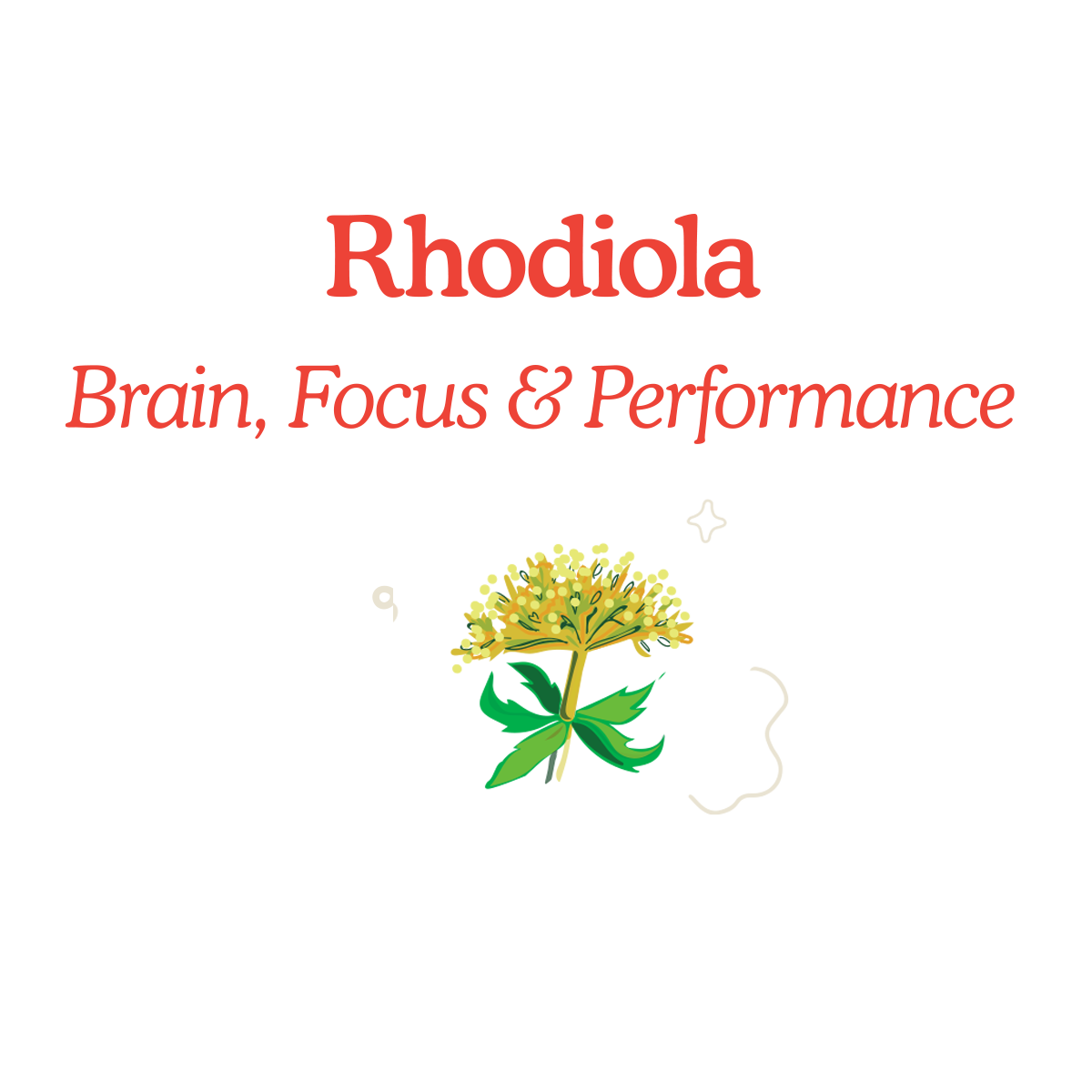 Moow mandarina-romero + rhodiola con CBD